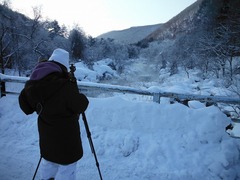 DSCF5937