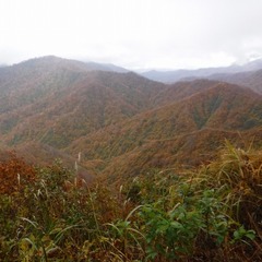 DSCF4959