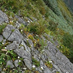 DSCF5589