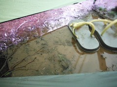 DSCF2293