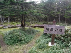 DSCF6034
