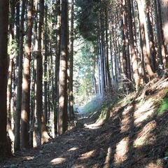 DSCF4198