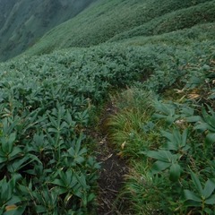 DSCF5602
