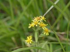 R0013193