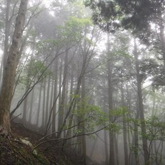 DSCF1281