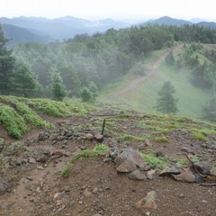 DSCF1358