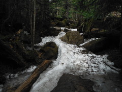DSCF2248