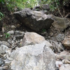 DSCF5692