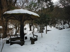 DSCF4397