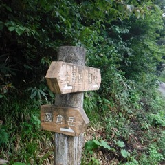 DSCF5534