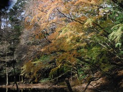 DSCF5829