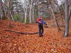 DSCF0023
