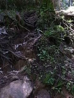 R0106441