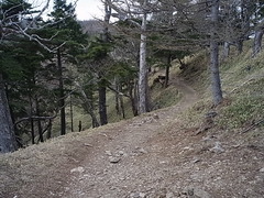 R0011251