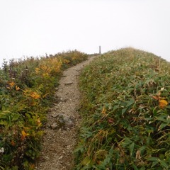 DSCF5617