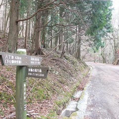 DSCF4465