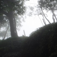 DSCF5606