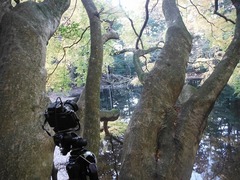 DSCF5826