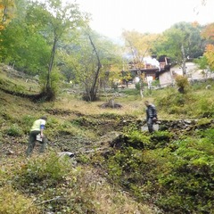 DSCF5017