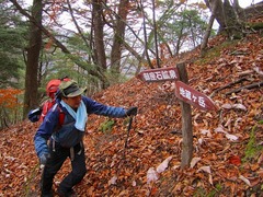 DSCF0024