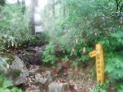 DSCF2635