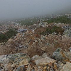 DSCF3476