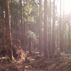 DSCF4456