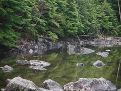 DSCF2379