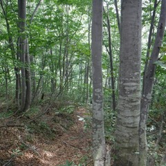 DSCF5696