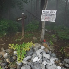 DSCF1187