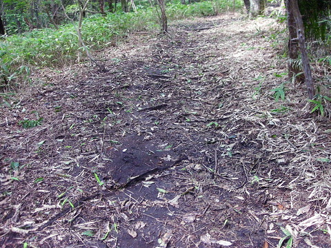Photo0120