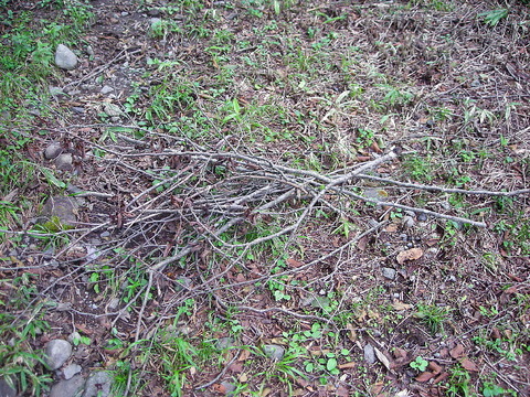 Photo0255