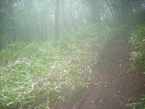 Photo0041