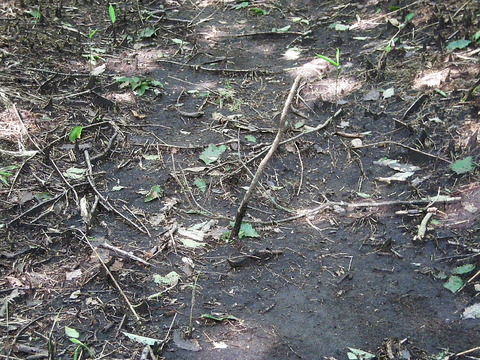 Photo0064