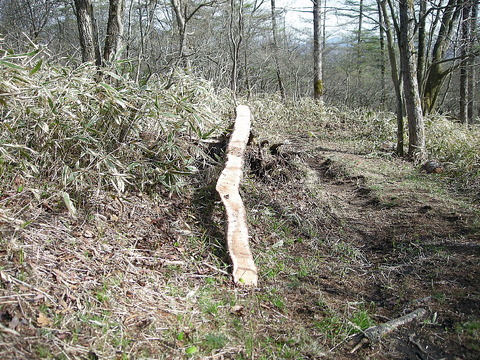 Photo0084