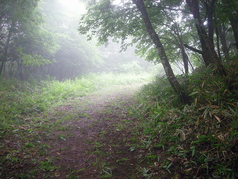 Photo0025