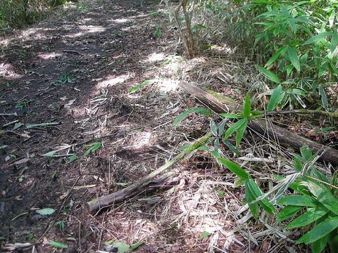 Photo0066