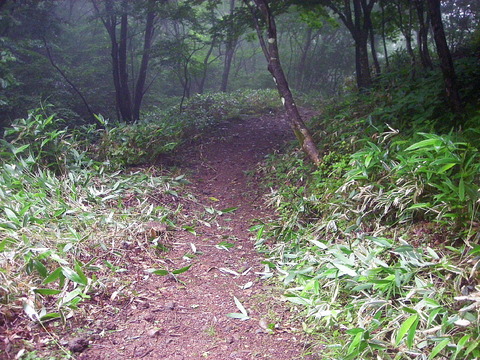 Photo0032