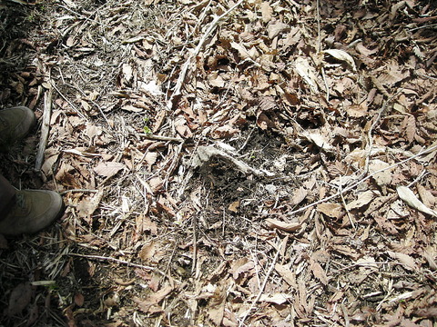 Photo0019