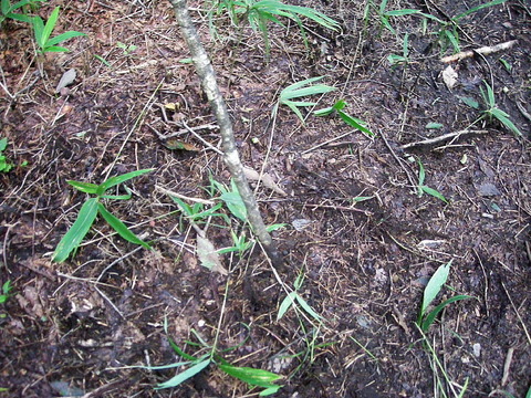 Photo0052