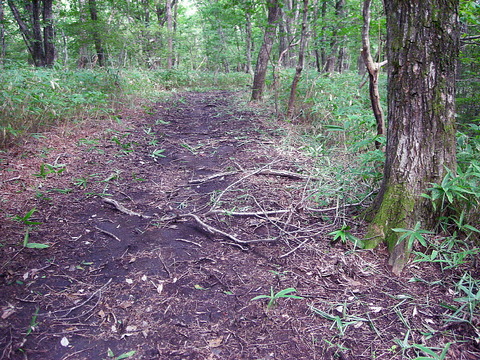 Photo0057