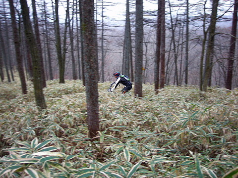 Photo0073
