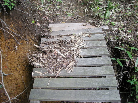 Photo0239