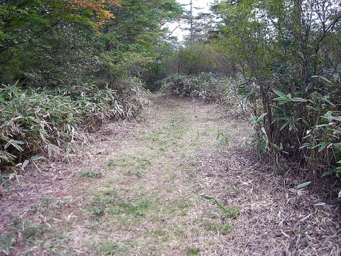 Photo0010