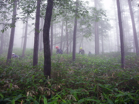 Photo0096
