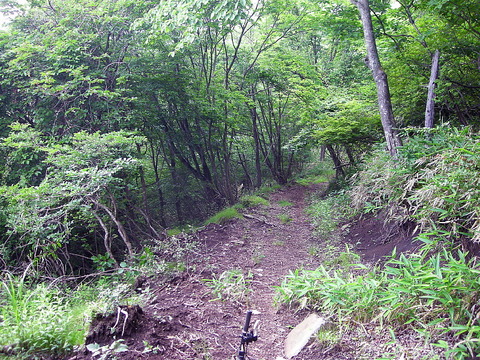 Photo0052