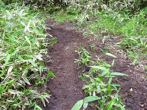 Photo0060