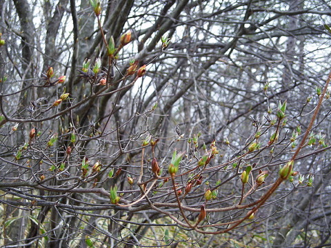 Photo0014