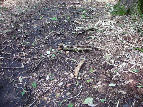 Photo0062
