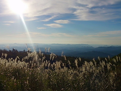 Photo0045